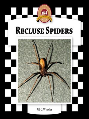 cover image of Recluse Spiders